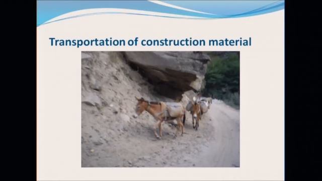 Scope of Large Animal Rescue in the North (India)  #horseemergency