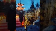 Краснодар. Японский сад