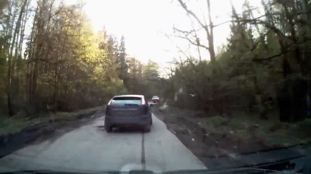 Сельвачево - Домодедово