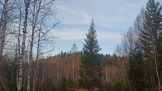 жизнь