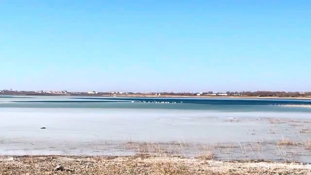 Каракалпакстан/Озеро Ащикуль Исламбек Арепбаев 05.02.24 #Qaraqalpaqstan #ashshikol #нукус #Lake