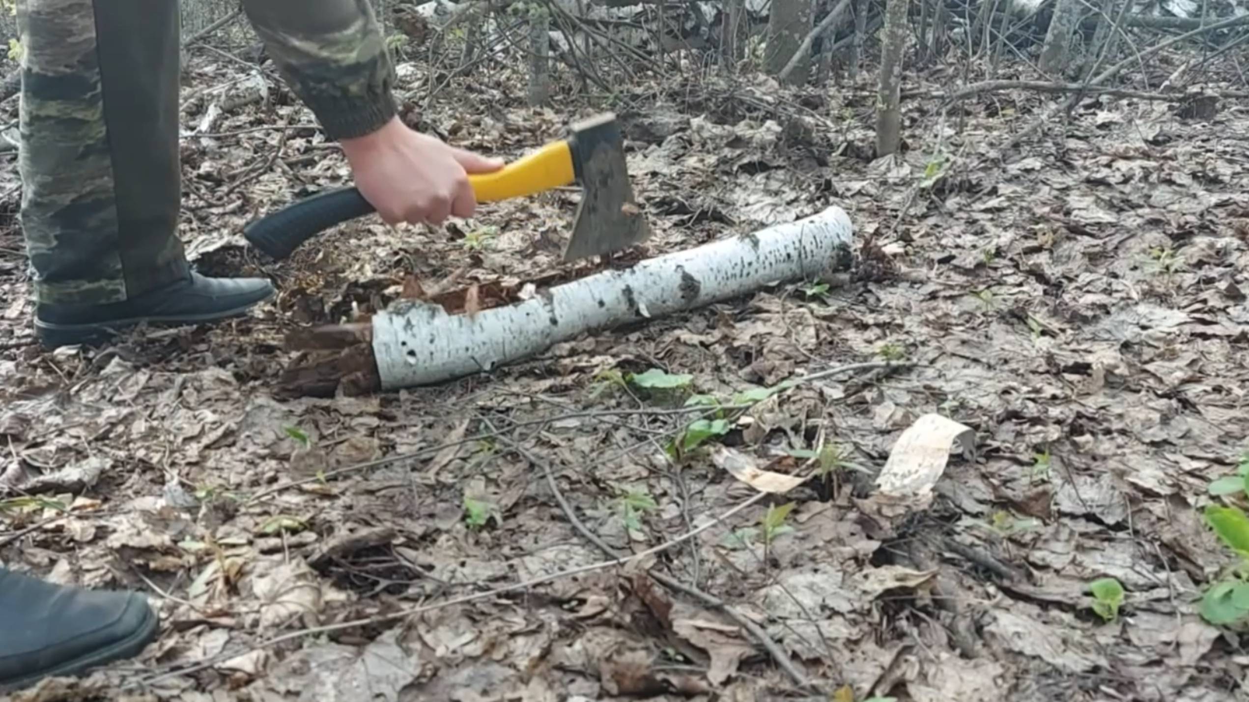 Заготовка березовой коры для шашлычного сезона. Показываю, как я это делаю