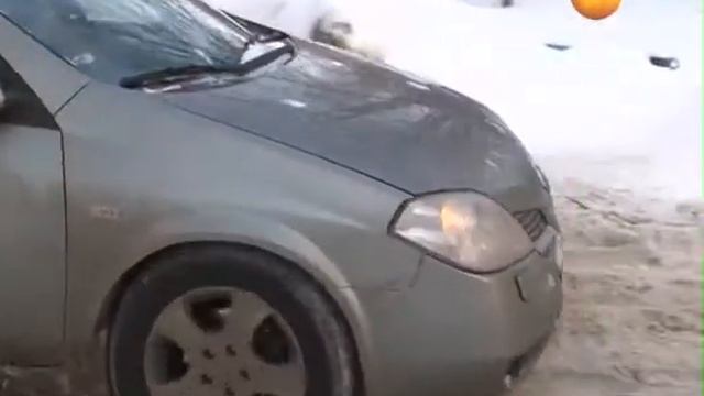 2013-01-09 Без зимы виноватые