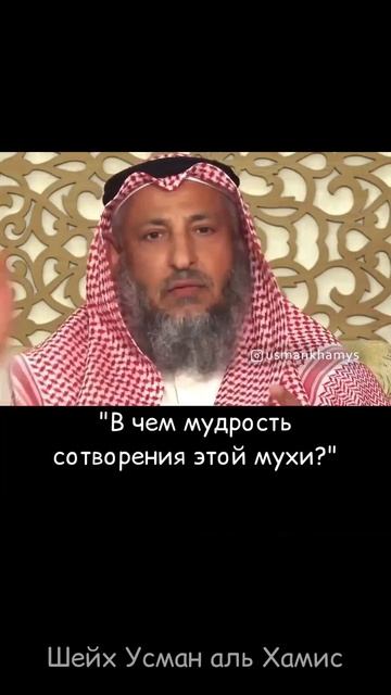 Высокомерие