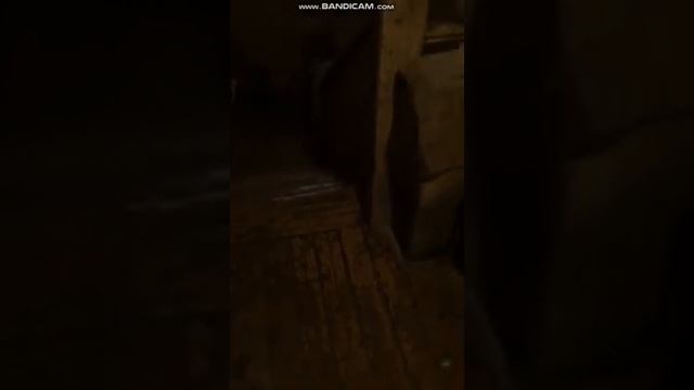 Затопило Сысольское шоссе, 30