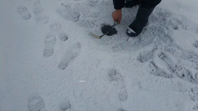 Идём ловить щуку. Карелия.