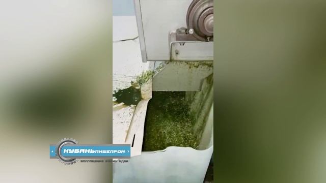 Резка зелени / ООО "Кубаньпищепром"