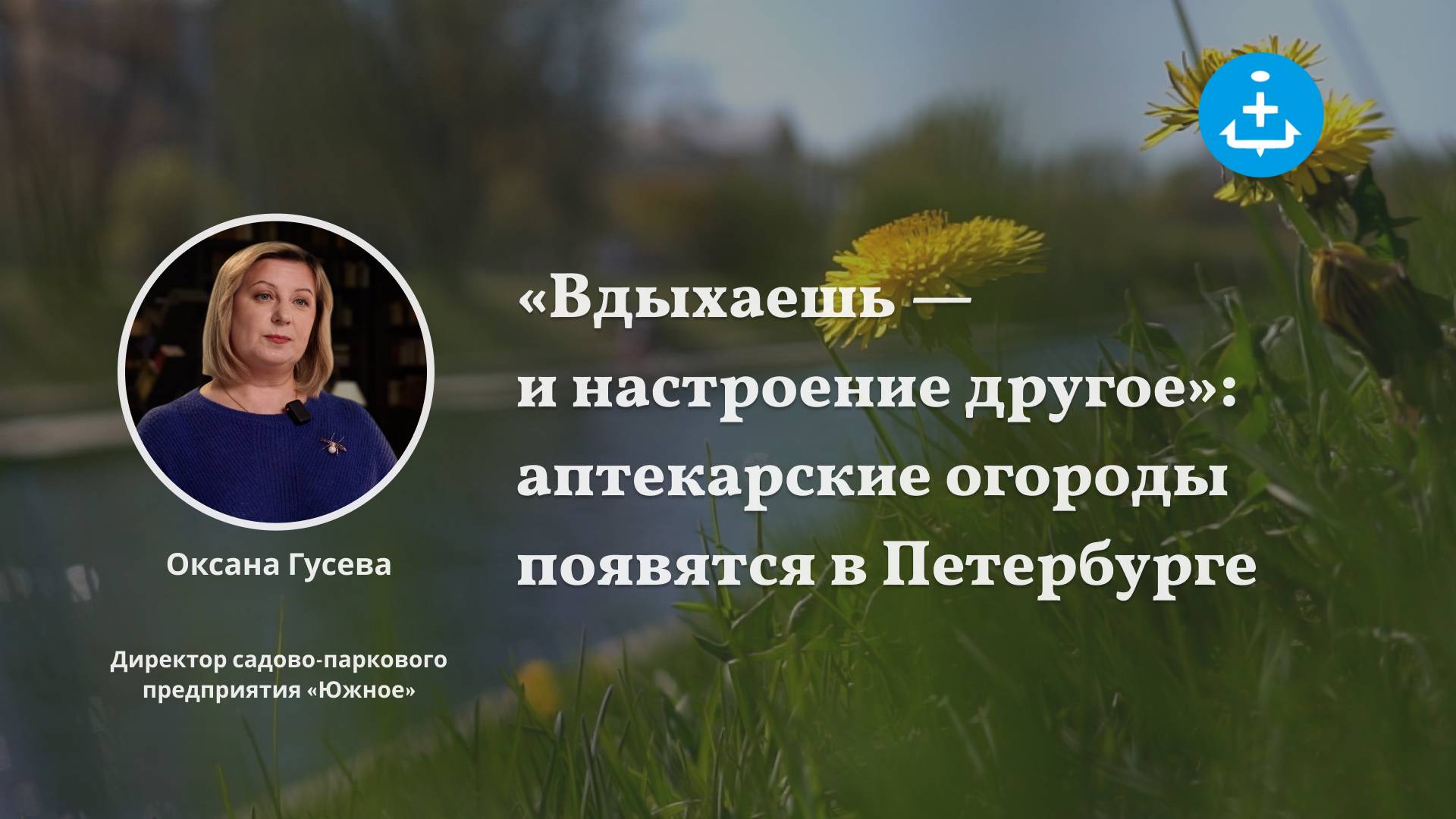 «Вдыхаешь — и настроение другое»: аптекарские огороды появятся в Петербурге