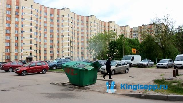 Громкий спор на Крикковском шоссе о поджоге мусорного контейнера в Кингисеппе. KINGISEPP.RU