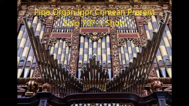 Pipe Organ Igor Crimean Present Solo 707 1 Short