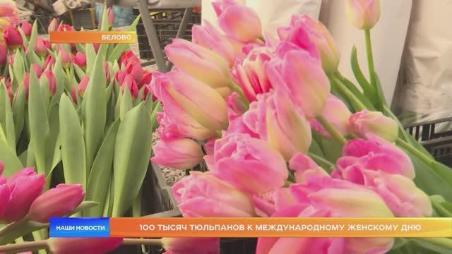 100 тысяч тюльпанов к Международному женскому дню