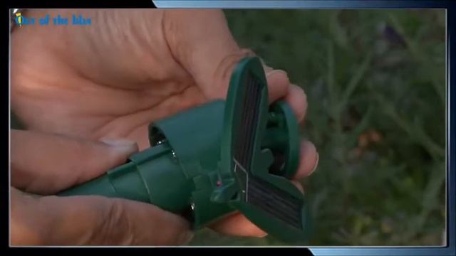 solarna letiashta peperuda