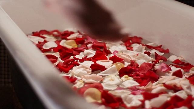 Ролик Росси, балет