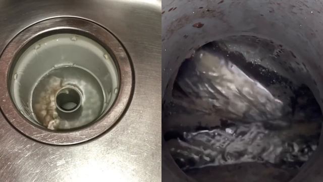 【閲覧注意】配管内にこびりついた油汚れが高圧洗浄で剥がれてドバドバっと流れてきます！スッキリきれい！[排水管高圧洗浄][Drain Unblocked][Drain cleaning]