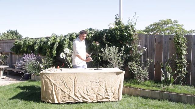 Sécateur à galet
