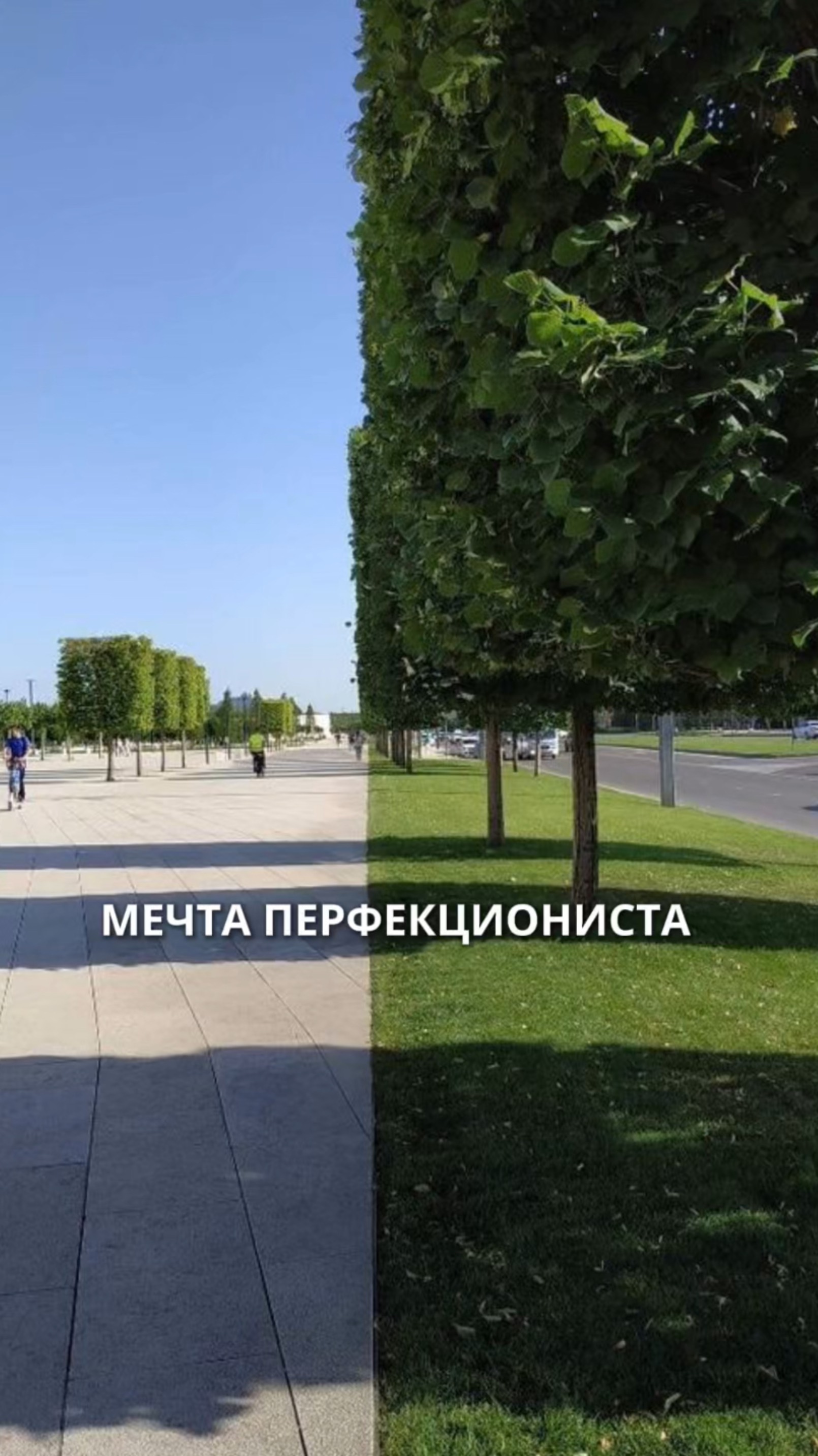 Мечта перфекциониста