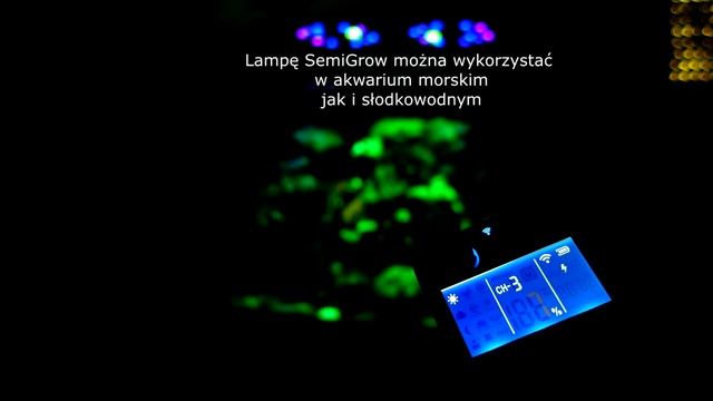 SEMIGROW / EVERGROW IT5060 - oświetlenie akwarium morskiego i słodkowodnego