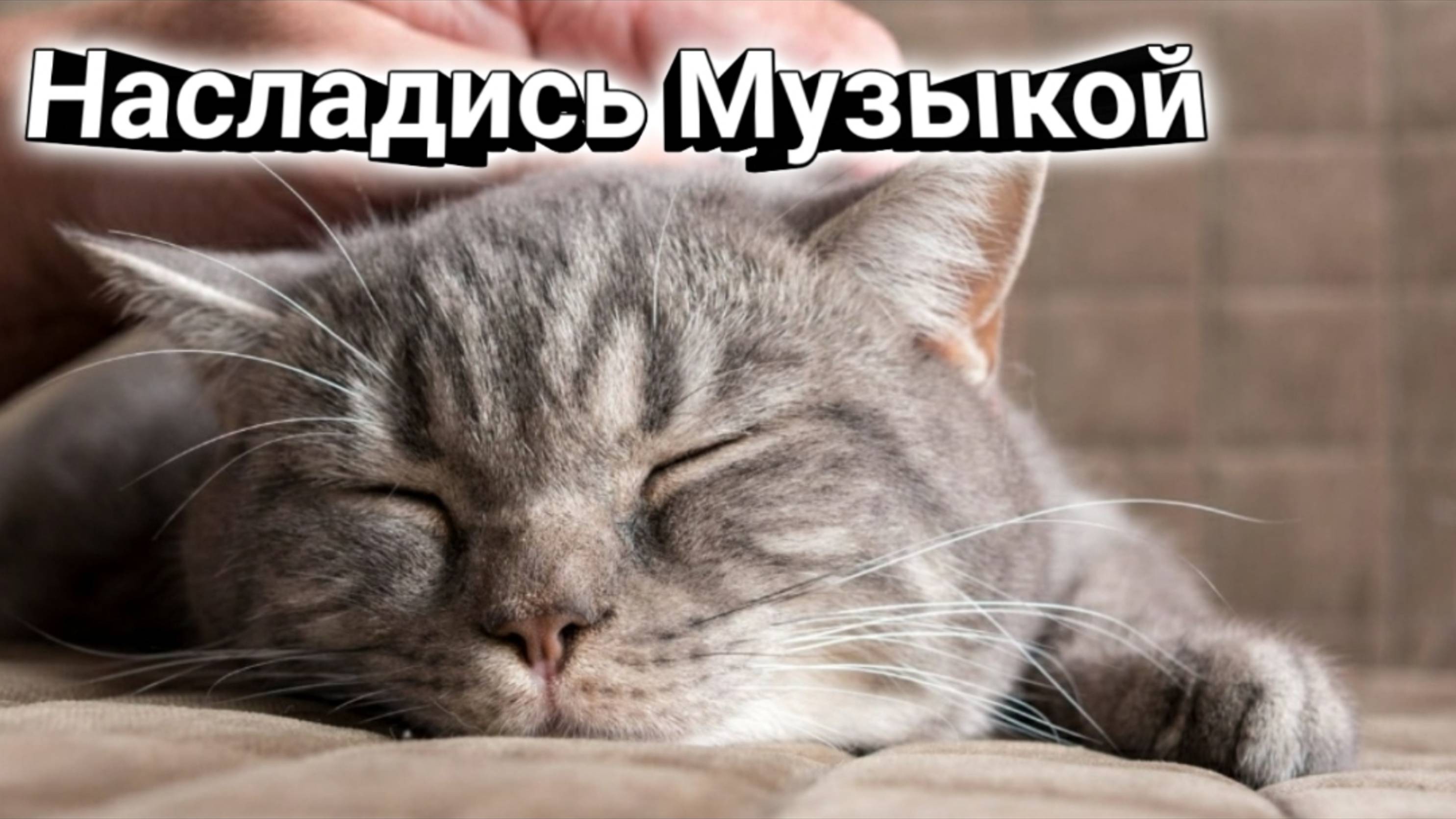 Расслабляющая музыка / музыка для отдыха