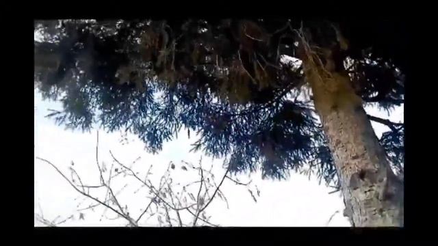 VLOG:Открыли сезон луж 15.04.18
