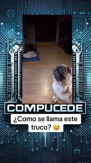 compucede_2025-03-05-22-05-29_1741194329846
