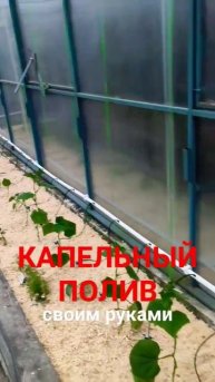 Капельный полив своими руками. Новое видео на канале.