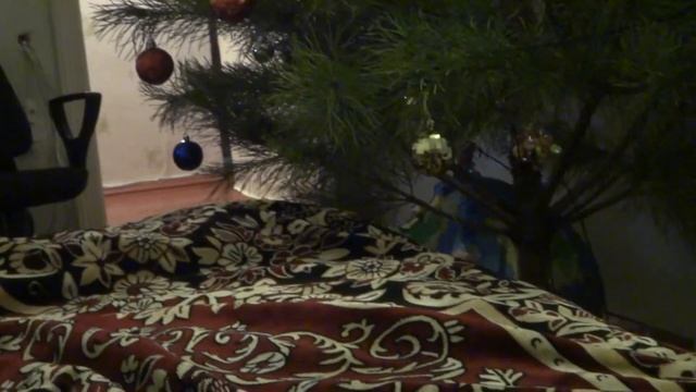 Кошка приносит игрушку