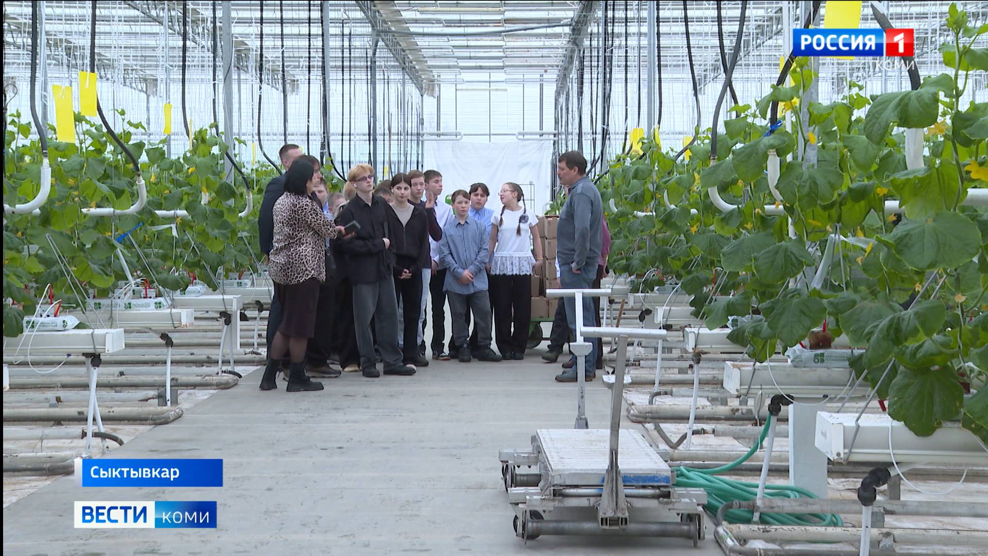 Воспитанники детского дома с экскурсией обошли теплицы сыктывкарского сельхозпредприятия