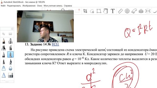 ШОК контент. Голубь врезался в окно. Реакция