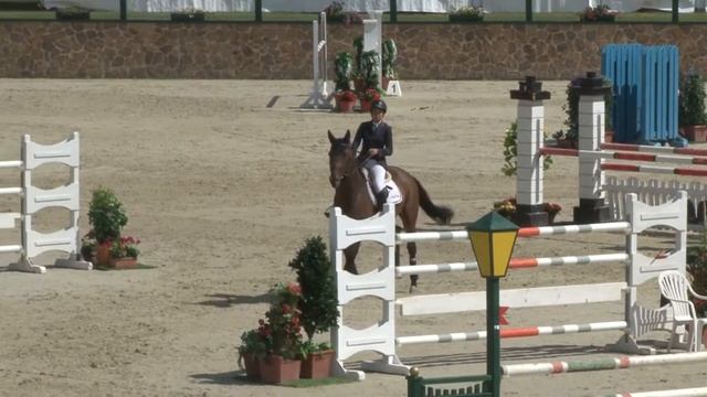 Alessandra Reich and Quatro Rubin (7yrs.) CSI2* Wr. Neustadt 2015 -Day2