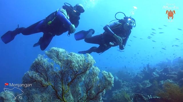 Diving "Anchor Wreck" in Menjangan Island, Bali