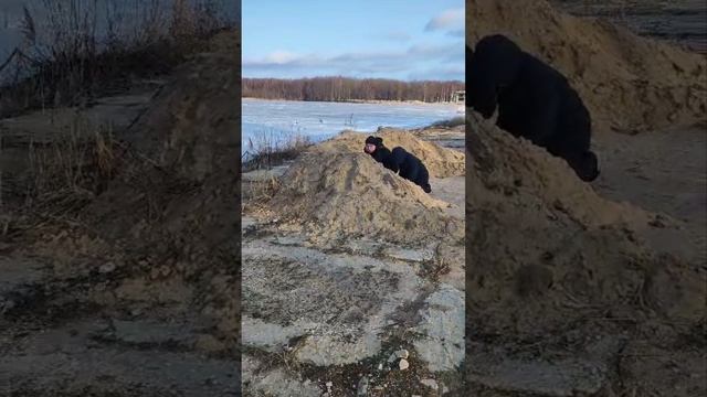 Зимушка в Аксеново 2025