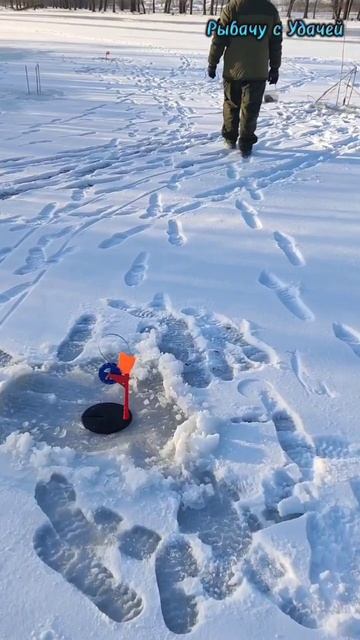 Узнали, где раки 🦀🦀🦀 зимуют ❄️🎣⛄