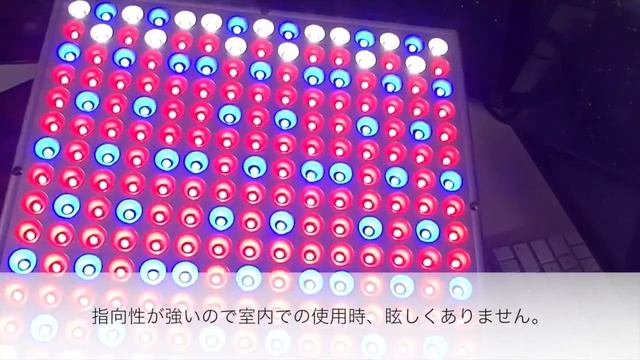 【Review】Excelvan 植物育成LEDライト 225球　ハイパワー3色　14W