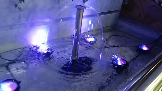 VID_20230124_200445