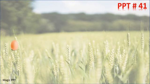 65+ PowerPoint Design and Animation Ideas | Magic PPT