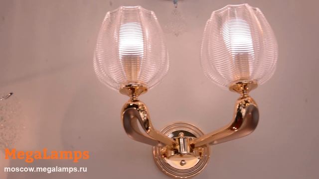 Светильник Lightstar LS_706622 Megalamps