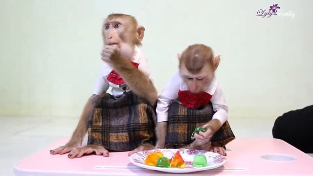 Intelligence School Uniform Baby Monkey Eat Breakfast Jelly Before School