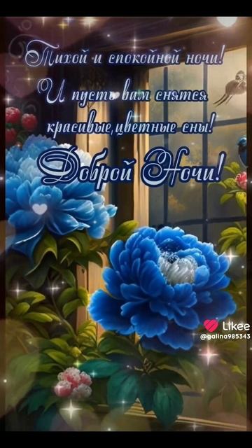 Спокойной ночи!