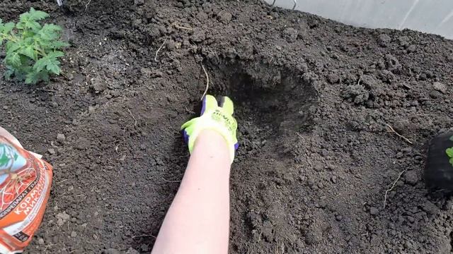 Киньте в лунку при посадке ТОМАТОВ, перцев, огурцов и сразу пойдут в рост. Большой урожай.