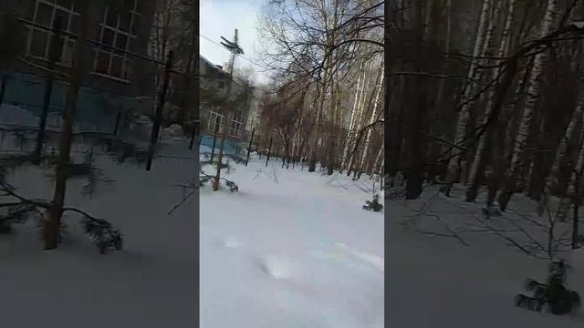 VID-20250306-WA0038