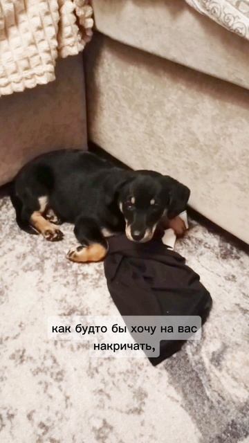 У меня начинается как будто бы стресс начинается