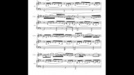 williams Third Concerto for Trumpet