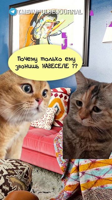 Звонки бывшему #мыкотики #вмем #разговор #анекдот #шутки #животные #юмор #кошки #смешное #мемы