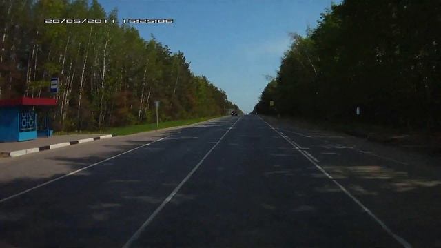 Птичку жалко.