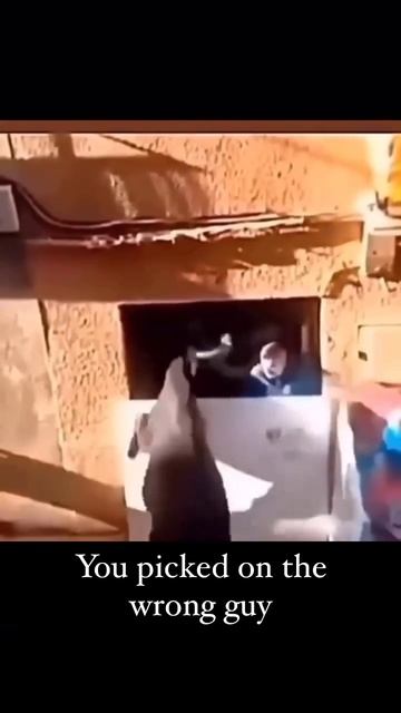 scene_output.mp4