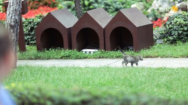 Türkei, Otium Family Eco