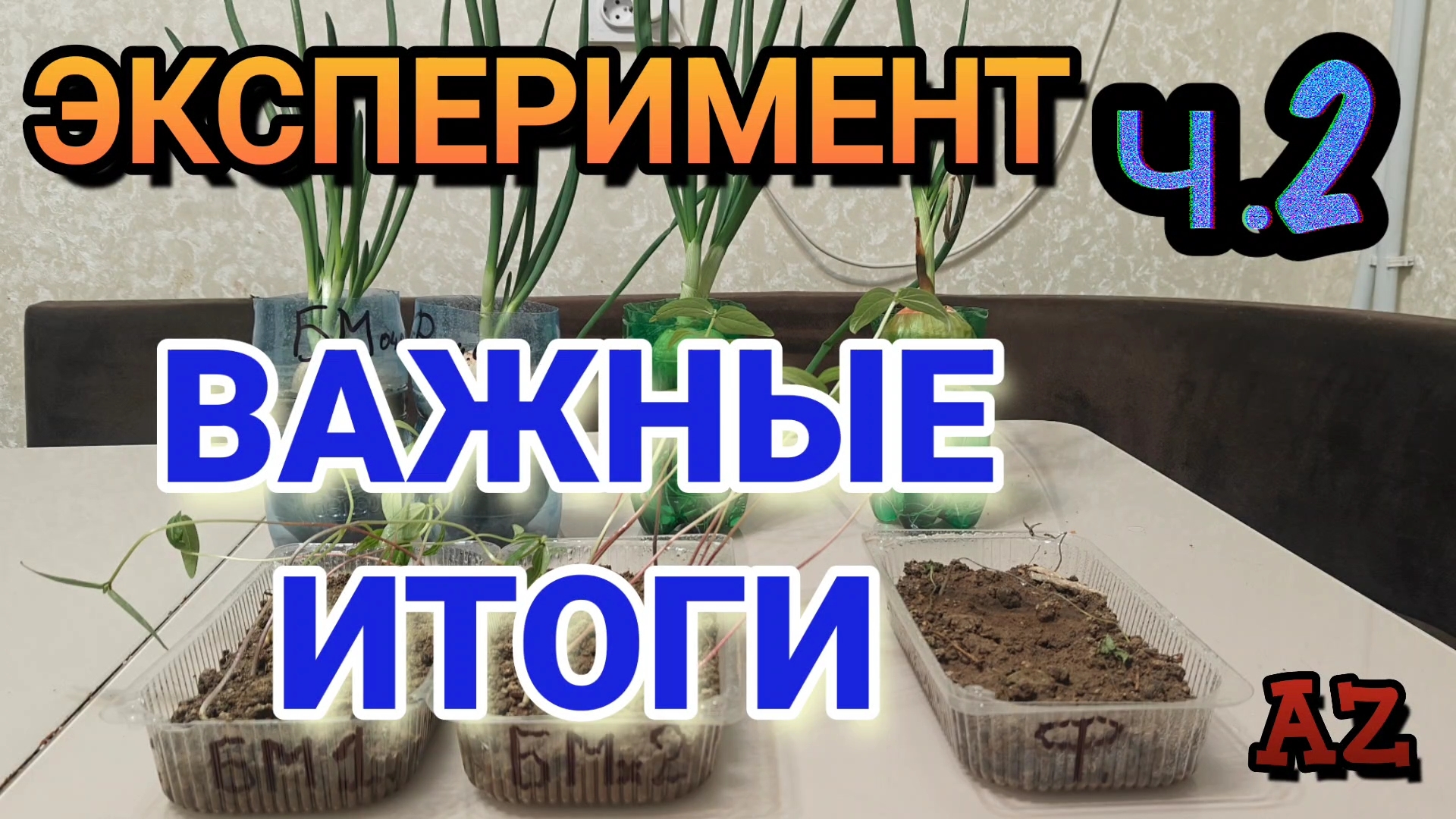 Эксперимент ч.2 ФИНАЛ ВАЖНЫЕ ИТОГИ