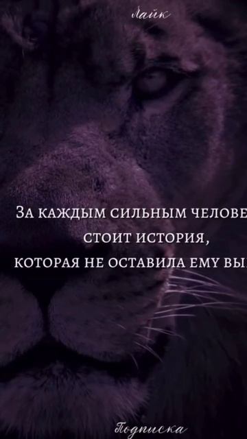 мотивация