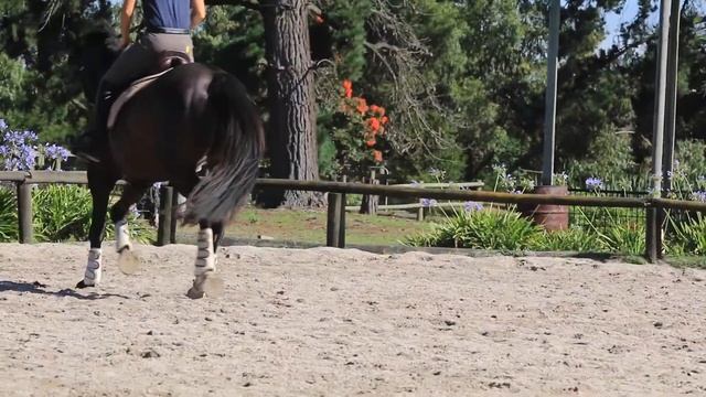Deltry Milano Schooling January 2015