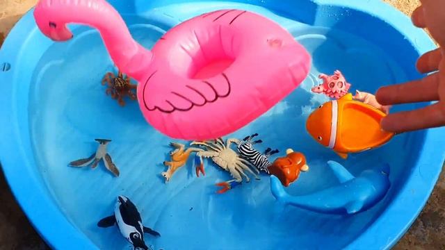 Изучаем названия животных для детей. Краб, акула, зоопарк, тигр, лев, слон, утка, лошадь, акула